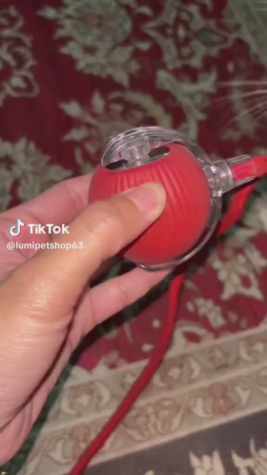 Interaktywna Piłka z ogonem dla psa i kota