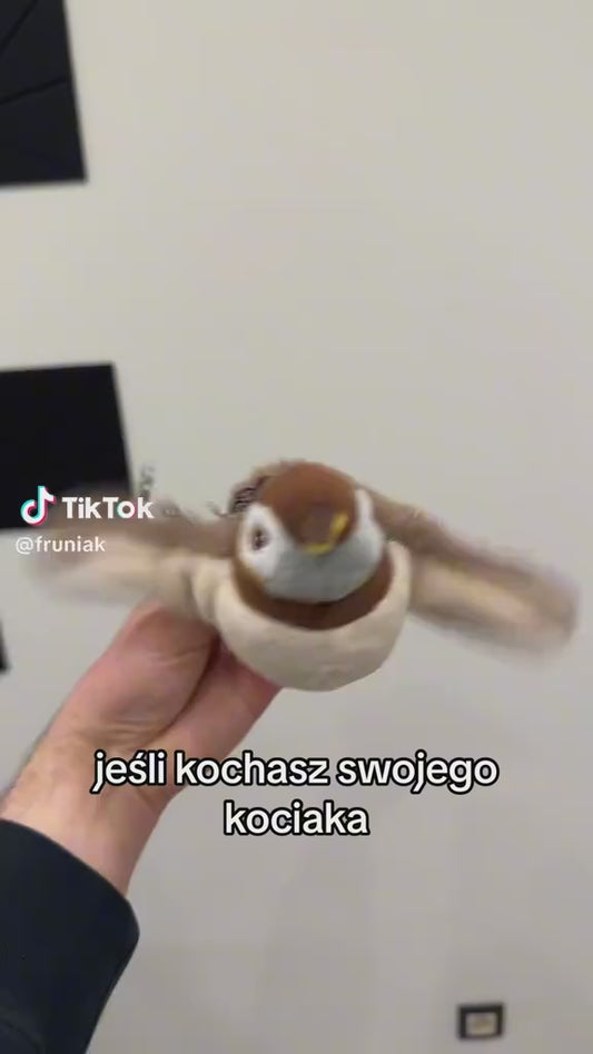 Interaktywna zabawka PTAK dla PSA kota z dźwiękiem ćwierkający (Nie Lata)