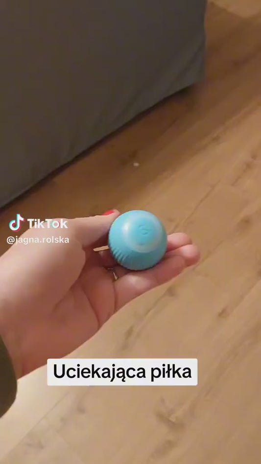 Inteligentna Uciekająca piłka dla Kota i Psów